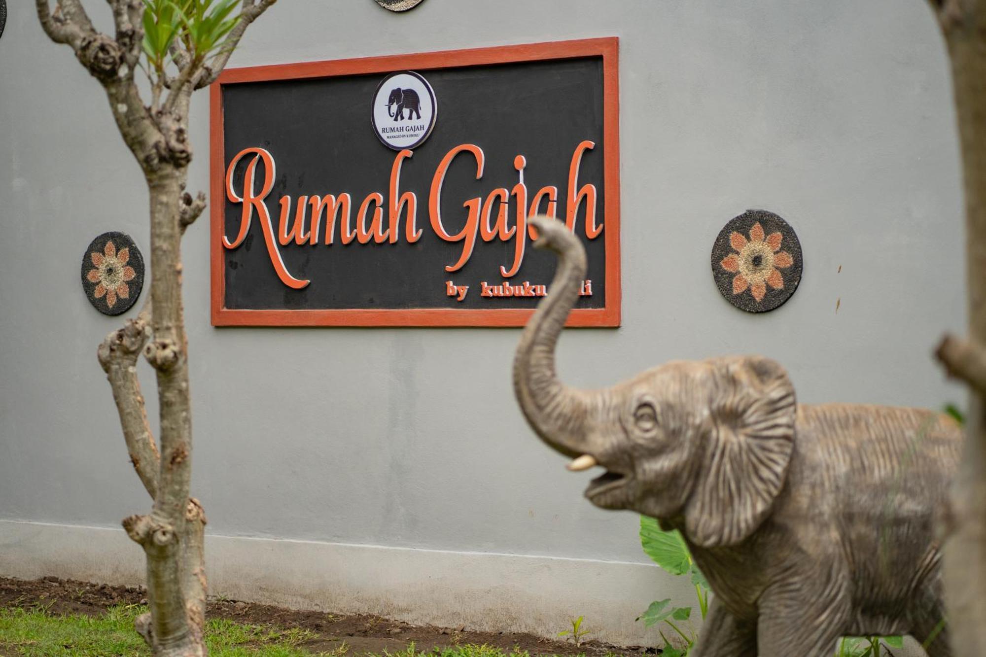 Kubuku Eco Dive Lodge And Yoga Pemuteran Eksteriør bilde